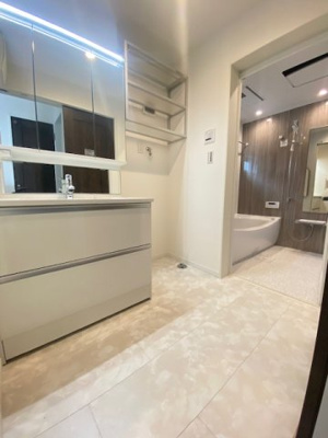  | 自由が丘新築戸建 | 施工例：Panasonicの3面鏡化粧台でミラー裏はたっぷり収納できます
LED照明を採用、シャワー水栓付き
