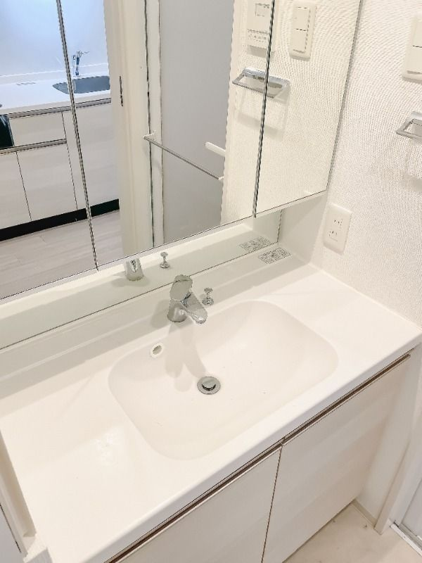 ザ・パークハビオ天満橋の洗面所