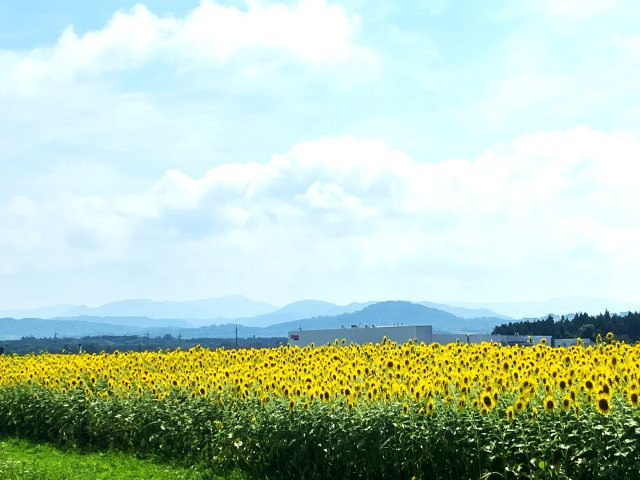 西伯郡伯耆町金屋谷岩立　中古別荘（128-22）の周辺|周辺環境