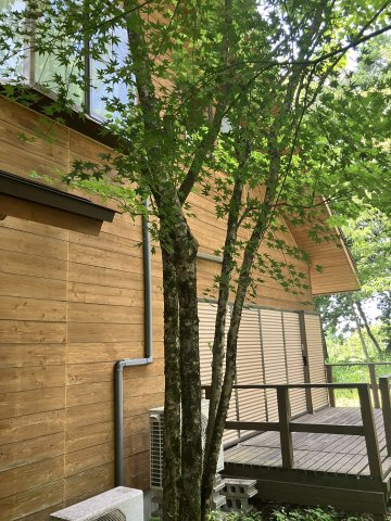 西伯郡伯耆町金屋谷岩立　中古別荘（128-22）の外観