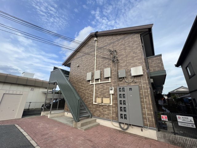 プラシードの外観