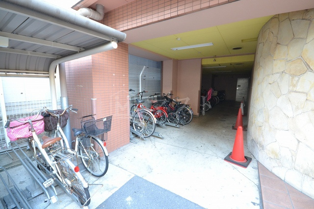 コンソラーレ日本橋のエントランス