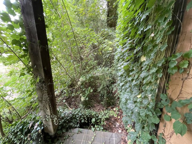 山武市大木中古一戸建の庭