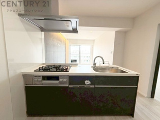 シンプルなデザインと使いやすさを兼ね備えた対面式システムキッチンは、効率的な作業スペースを提供し、家族やゲストとのコミュニケーションを促進します。