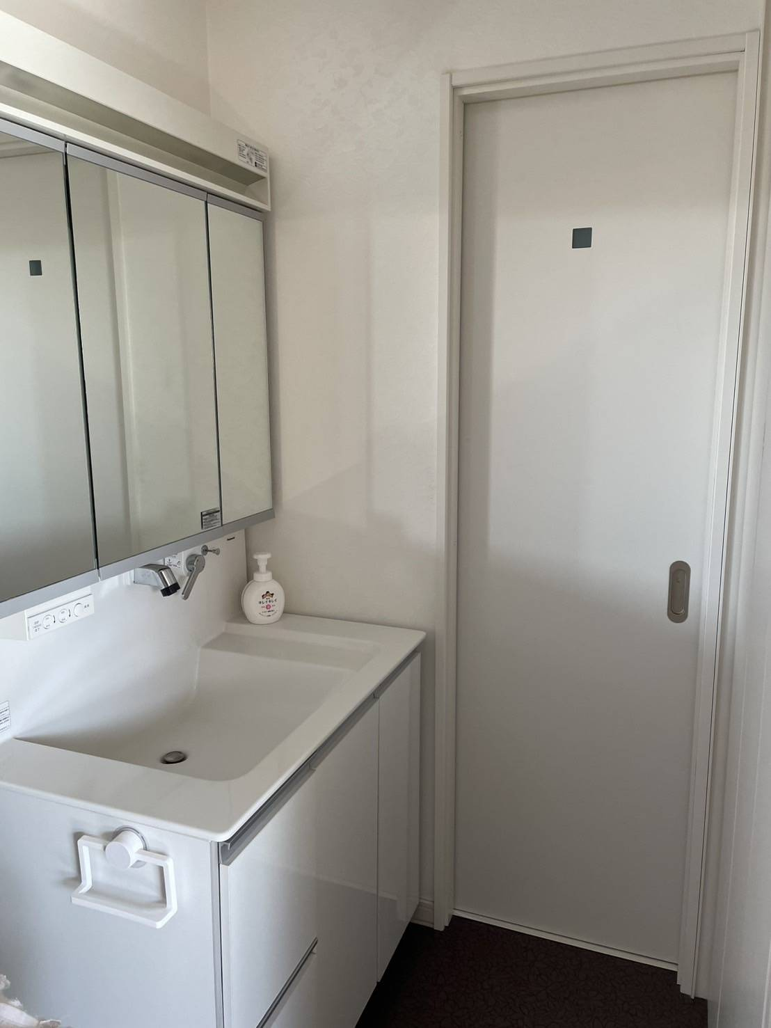 鶴居村字幌呂原野南6線　店舗兼住宅の独立洗面台