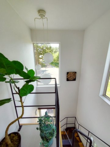 鶴居村字幌呂原野南6線　店舗兼住宅のその他共用部分|階段・吹抜