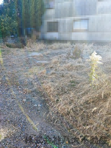 高浜市青木町売土地