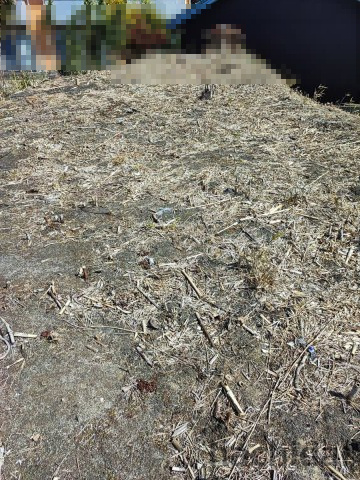 【その他】の画像