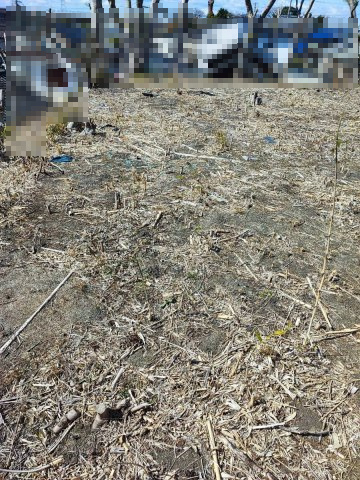 高浜市青木町売土地のその他|眺望