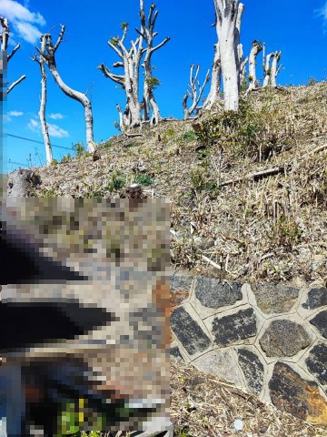 【外観】の画像