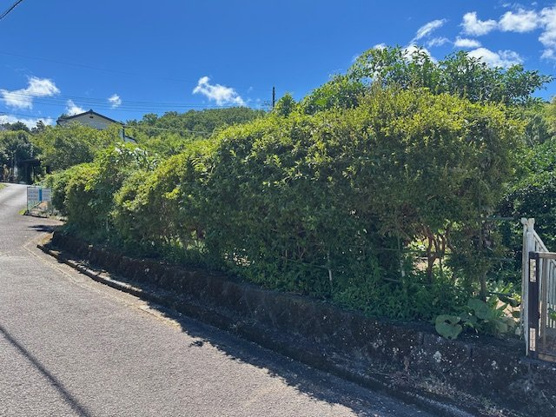 【前面道路含む現地写真】 | 伊豆急荻分譲地　売地