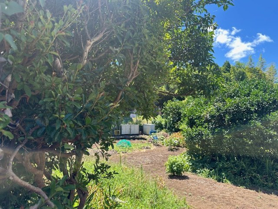 【外観】 | 伊豆急荻分譲地　売地