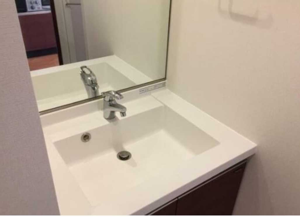 コンフォリア駒場　ペット相談可　浴室乾燥機　礼金０の洗面所