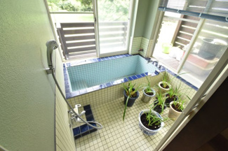 detached 霧島田口