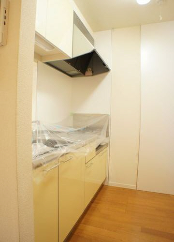 ディアス・コスモ大泉 壱番館のキッチン