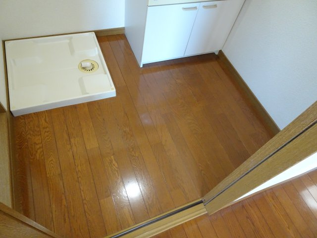 ムーンテラス片山S館の洗面所