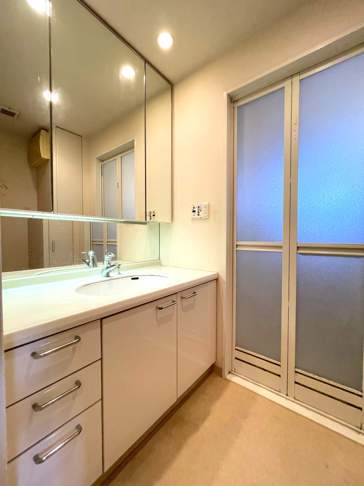 サーパス古高松駅前の独立洗面台