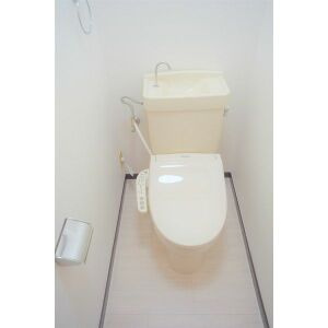 マンション東柴第ニのトイレ