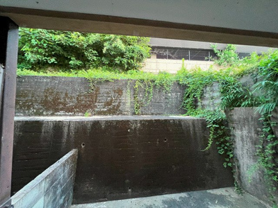 【展望】 | 弥生荘