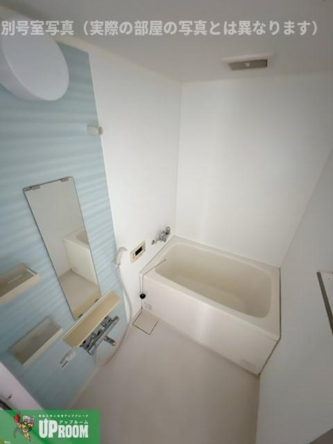 ブリイエーシャトウの浴室