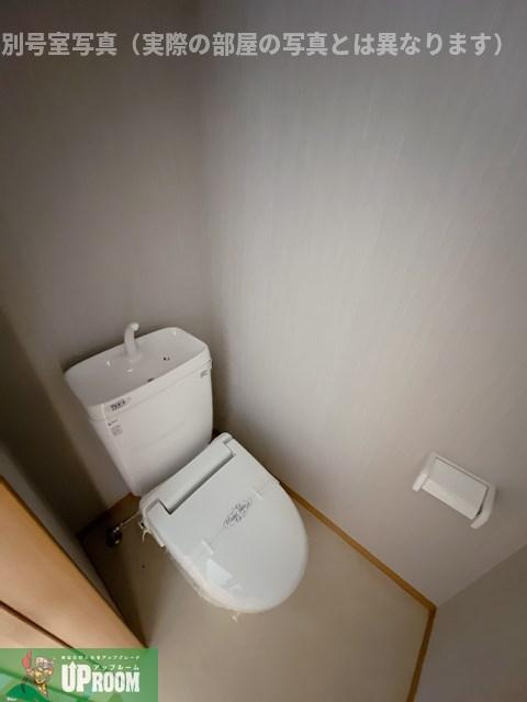 ブリイエーシャトウのトイレ