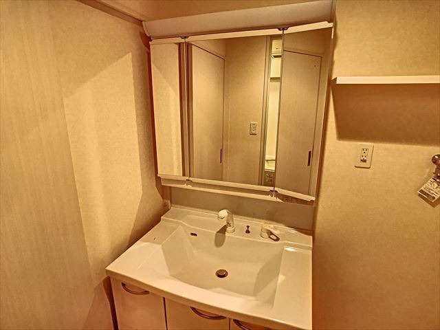 ベイサージュ箱崎の洗面所