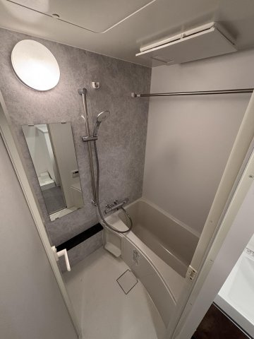 デュ・レジア平尾テラスの浴室