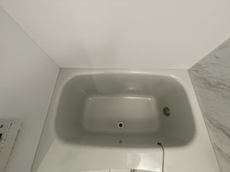 バス