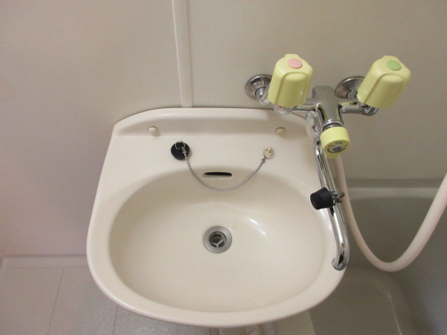 イレール並木の洗面所