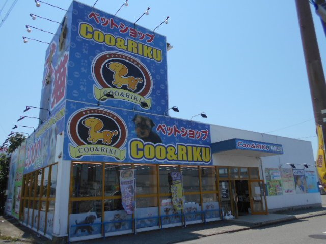 ジョイリバ－Ⅱの周辺|ペットショップＣＯＤ＆ＲＩＫ様まで2200m
