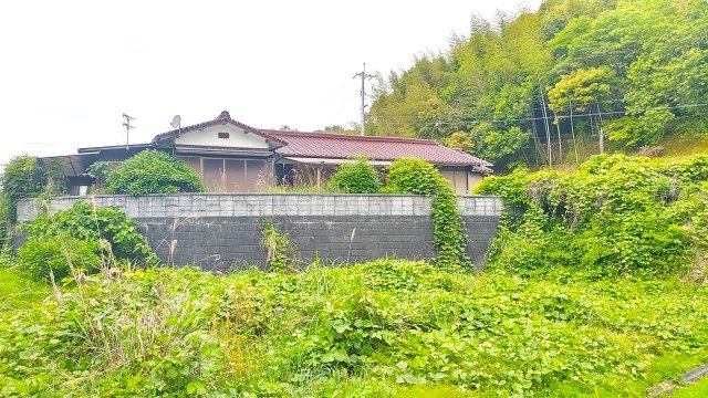 detached 大字波野