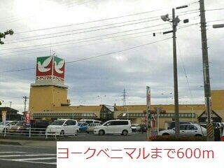 ベアーレ　Ⅱの周辺|ヨークベニマルまで600m