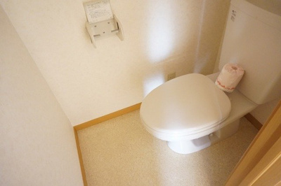 【トイレ】 | メゾンプラシードＢ | 落ち着いた色調のトイレです
