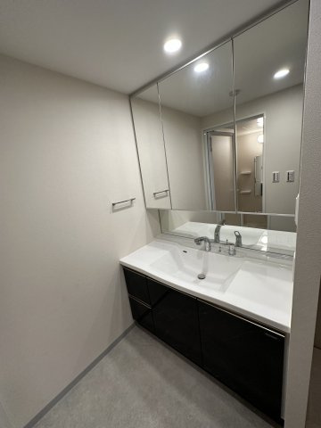 グランカーサ川崎生田の洗面所