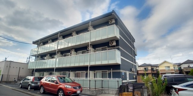 レオネクストヒマワリ