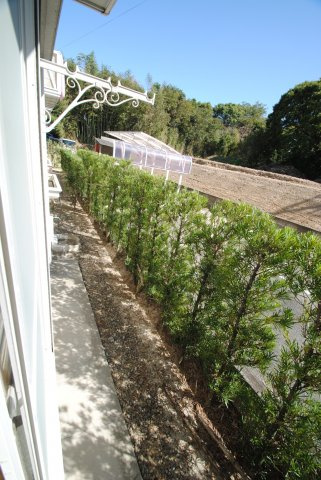 ウォルケネスト梅満の庭