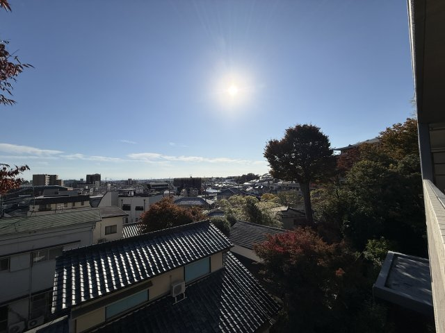 ネバーランド箕面潤緑館の展望