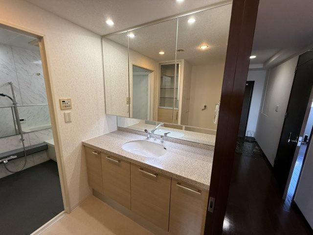 ネバーランド箕面潤緑館の独立洗面台