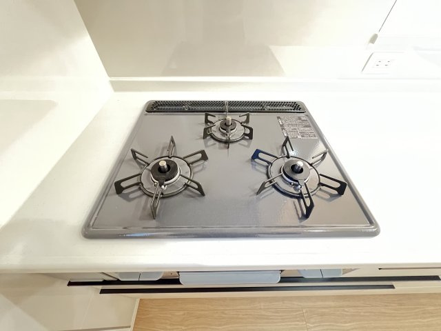 橿原市北妙法寺町全１棟|ステンレスシンク