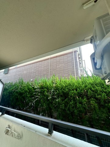 ジョイフル武庫川の展望