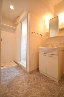 【独立洗面台】 | エビデンスタワー・セオリーA・B・C棟 | エビデンスタワー
