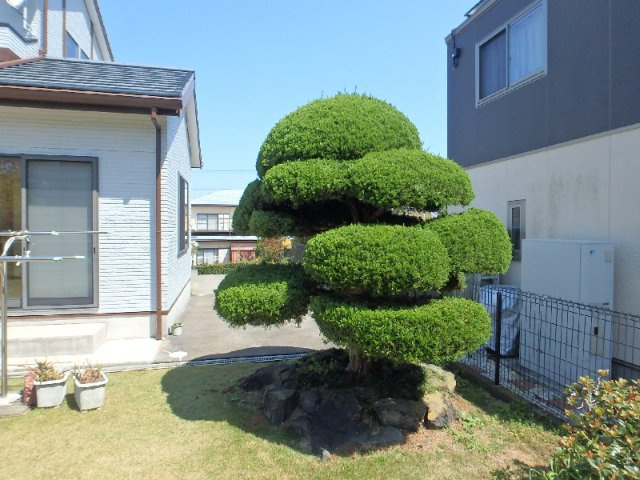 S1575H 須崎高台美築住宅の庭
