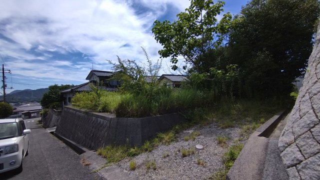  柳井・大屋