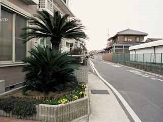 レオパレス藤本Ⅱのその他共用部分