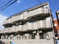 シュウカーネルⅡの画像