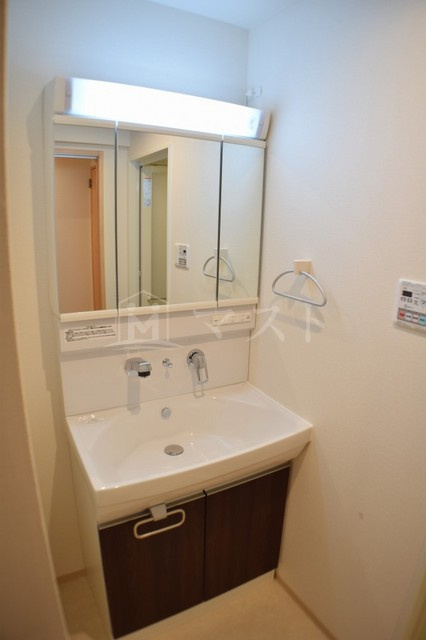 アルデールトモ北堀江の洗面所