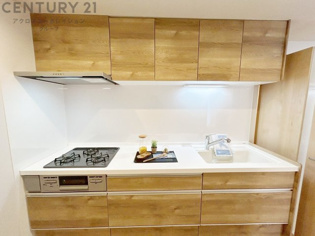 壁付けシステムキッチンはスペースの最大限の有効活用が可能で、動線がスムーズになり調理や準備が快適で効率的に行えます。収納スペースや吊り戸棚が設けられ、調理器具や食器類をスマートに収納できます。