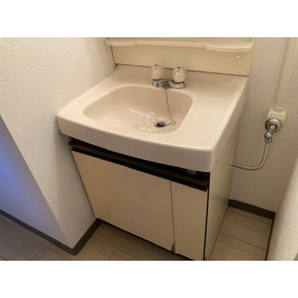 グリーンハイツの独立洗面台