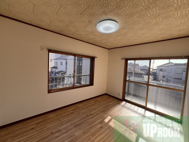 ネコと子犬のワルツのその他