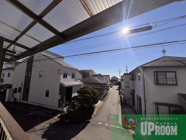 ネコと子犬のワルツのその他